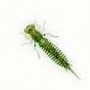 Приманка силикон. FANATIK LARVA 2-005 (5см, личинка стрекозы, уп. 8шт)