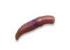 Приманка форель CRAZY FISH MF BABY WORM 1,2" 65-30-52-7 (уп. 12шт)
