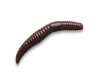 Приманка форель CRAZY FISH MF BABY WORM 2" 66-50-100-9-EF (уп. 8шт)