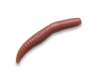 Приманка форель CRAZY FISH MF BABY WORM 2" 66-50-52-9 (уп. 8шт)